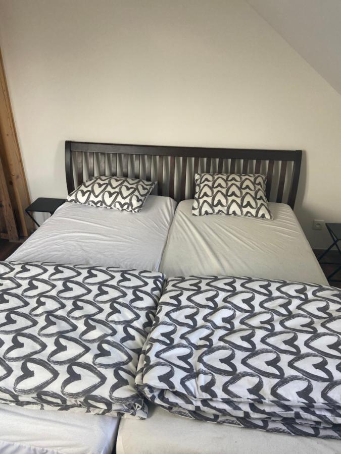 Horsky Apartman Pod Jestedem Διαμέρισμα Λίμπερεκ Εξωτερικό φωτογραφία